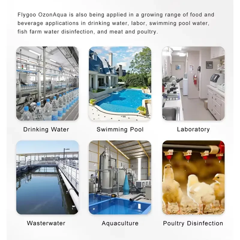 WSQ Flygoo Ozonaqua Air Feed: Озонатор-очиститель воды со встроенным воздушным насосом, 10 г, для бассейнов (art.: 3920db0f09f79) - 3920db0f09f79