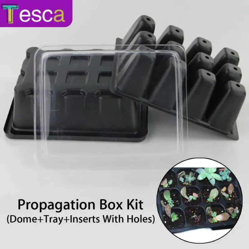 

12 Hole Seedling Trays Seed Starter Tray Plant Flower Grow Box Propagation For Gardening Seed Grow Starting Germination Box