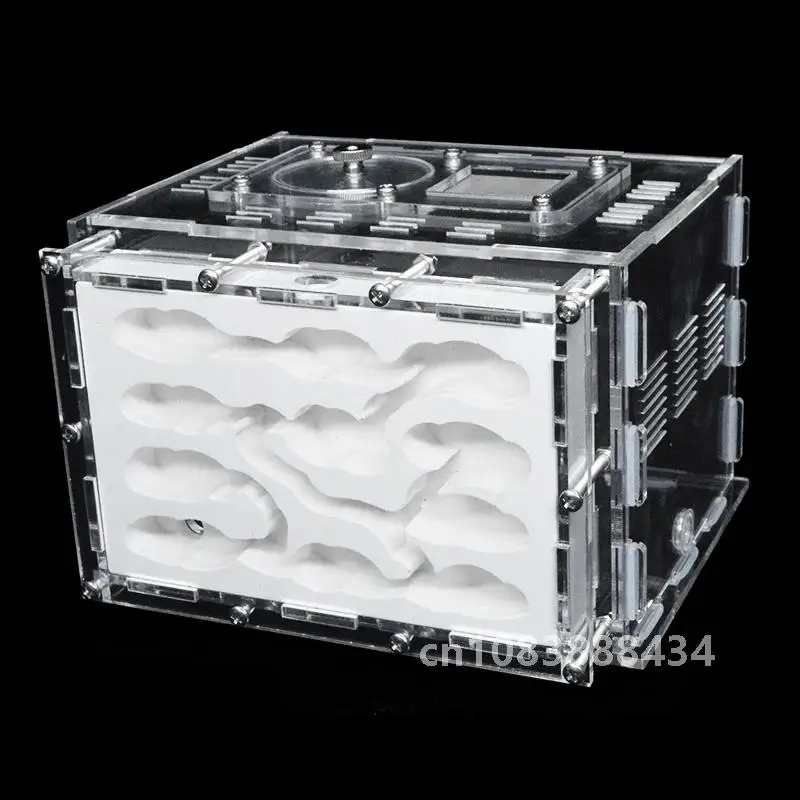 DIY акриловая ферма муравьев гипс экологический дом для домашних животных антарль