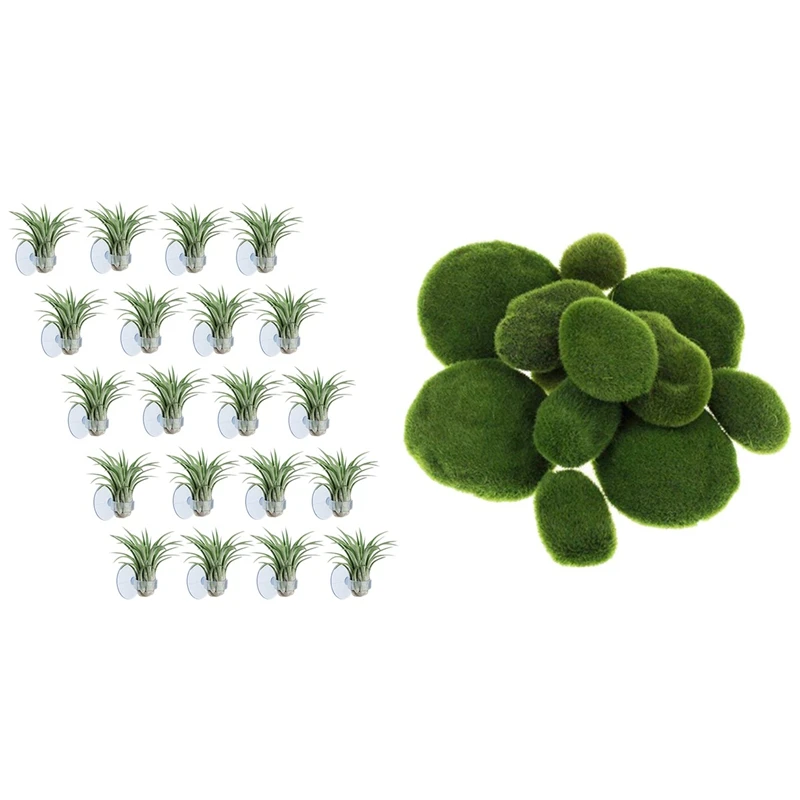 

20 Pcs Air Plant Holder(Plants Not Included) & 30PCS Super Delicate Simulation Moss Foam Stone Plant Hair Moss Ball