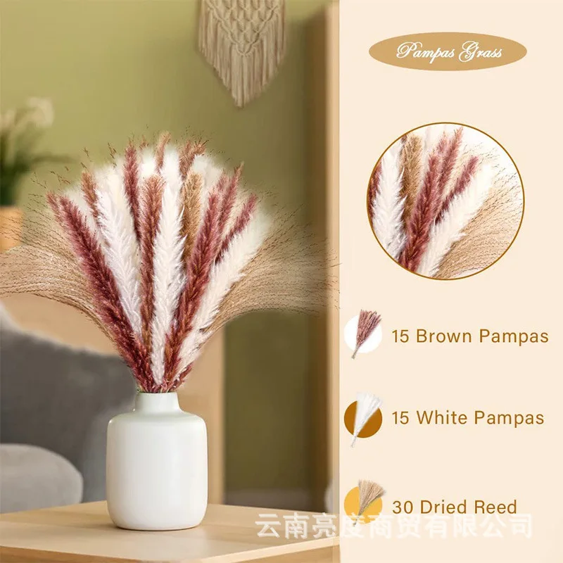 

Artificial Decorations 34pcs/70pcs Amazon Hot Sale Pampas Grass Dried Flower Bouquet Small Reed Whisk Rabbit Grass