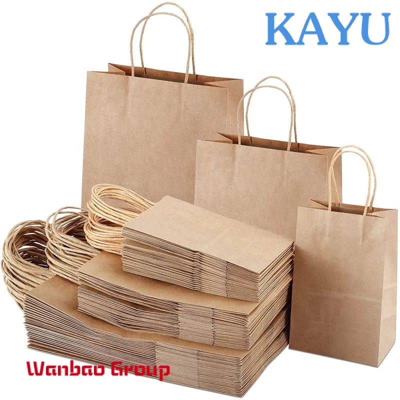 3D customization Wholesale recyclable custom printed kraft paper shopping bag with twist handle