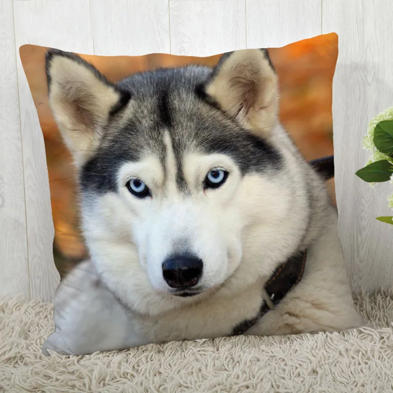 

Siberian Husky Pillow Cover Customize Pillowcase Modern Home Decorative Pillow Case For Living Room 45X45cm