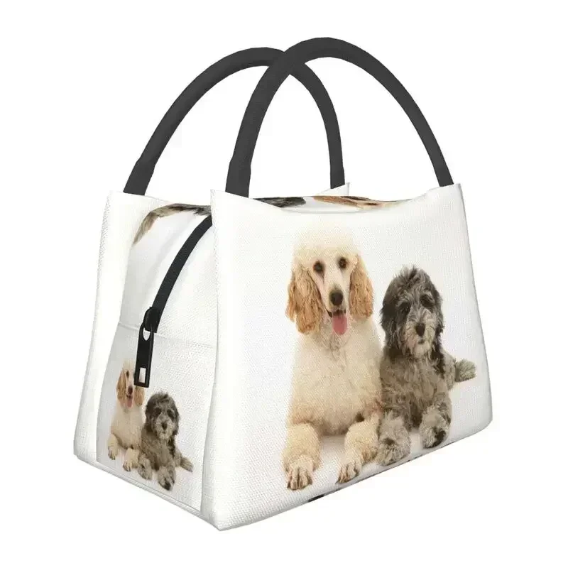 Poodle Black Love Insulated Lunch Tote Bag for Women Pudel Caniche Portable Thermal Cooler Food Box Work Travel