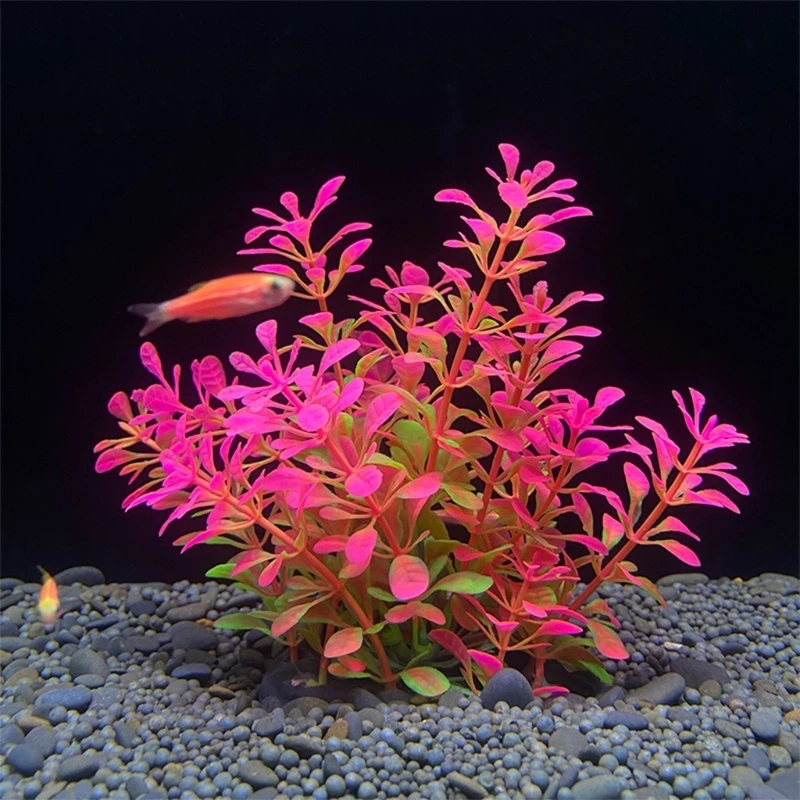 

H55A Aquarium Plastics Plant Realistic Small Artificial Grass Decorations for Fish Tanks Non Toxic Safe for All Fish
