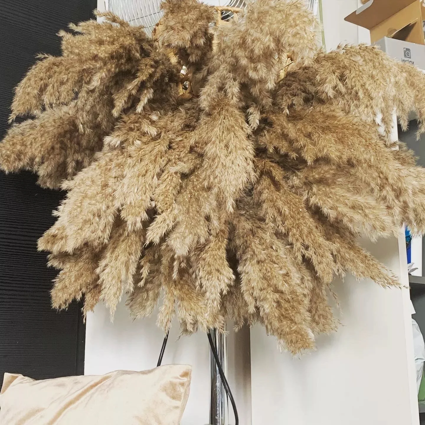 

10PCs Reed Dried Flower PAMPAS Grass Middle Reed Home Decoration Horsetail Whisk Dried Flower Pampas Grass Grass Decorations