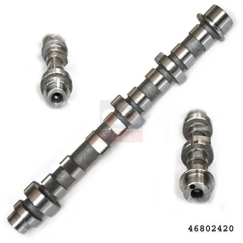 

Store code: 13033 for camshaft exhaust 05 PALIO-ALB-DBL 1.2 16V