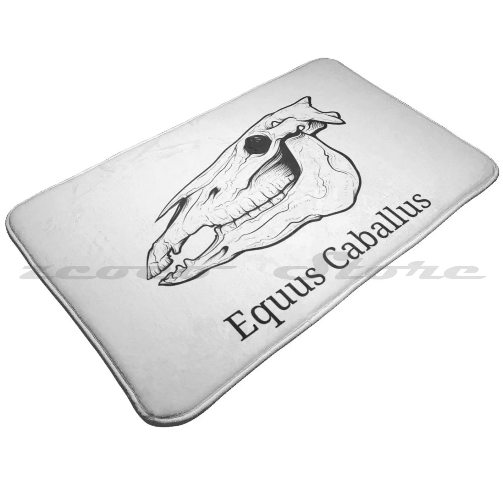 Череп лошади-Анатомия эквина-ветеринарный студенческий дизайн. Мягкий