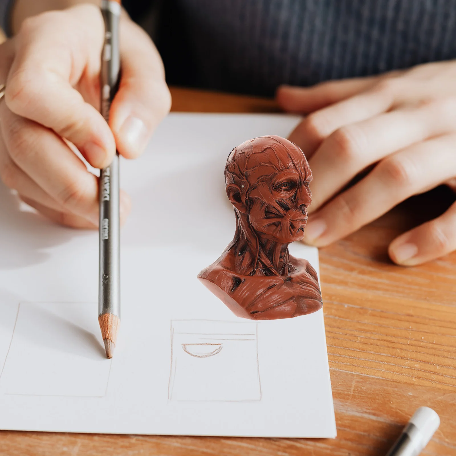 Эскиз Статуя Манекен Модель Смола Анатомия Череп Голова Декор Художник Рисунок