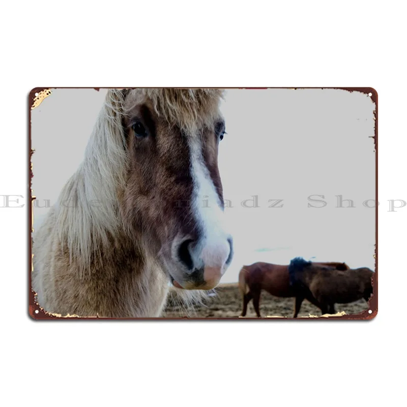 

Металлический плакат с изображением лошади, 3 дюйма