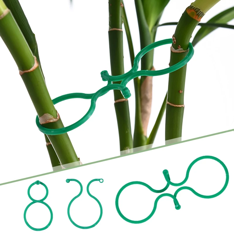 20/50/100 шт., пластиковые зажимы для фиксации винограда | AliExpress