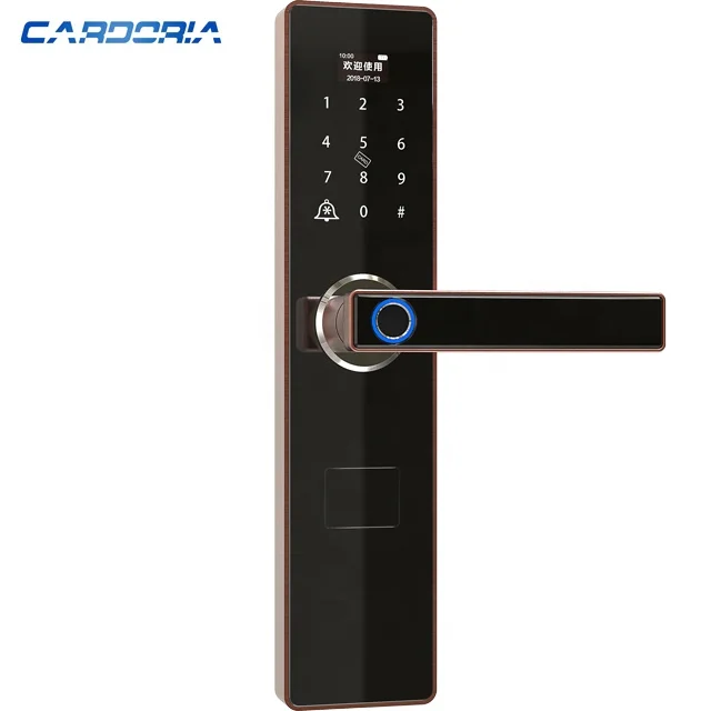 

New Product Intelligent Digital High Electronic Wood Security Door Locks with wifi