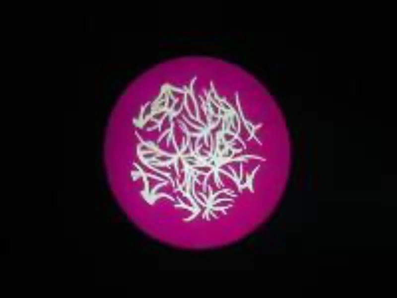 8 шт. Дискотека свадьвечерние led gobo движущаяся головка dmx луч сценическое освещение 250 Вт Светодиодный точечный movinghead 2023 (art.: 3920bfce37f06) - 3920bfce37f06