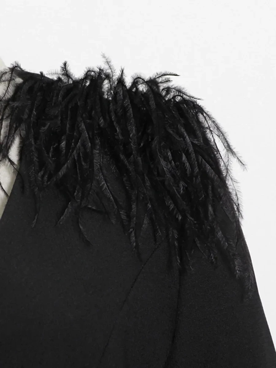 VGH темпераментные лоскутные пиджаки с перьями для женщин v-образным вырезом и