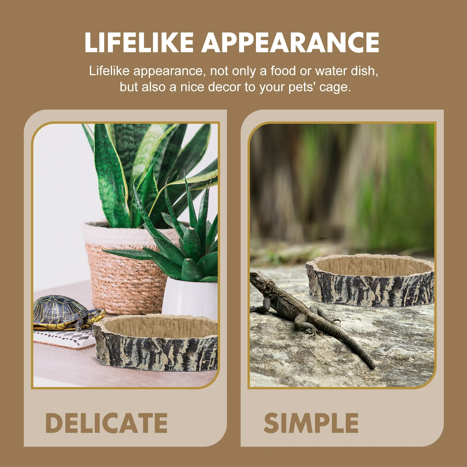 Террариум Блюдо Червь Вода Рептилия Чаша Контейнер для животных Кормушка