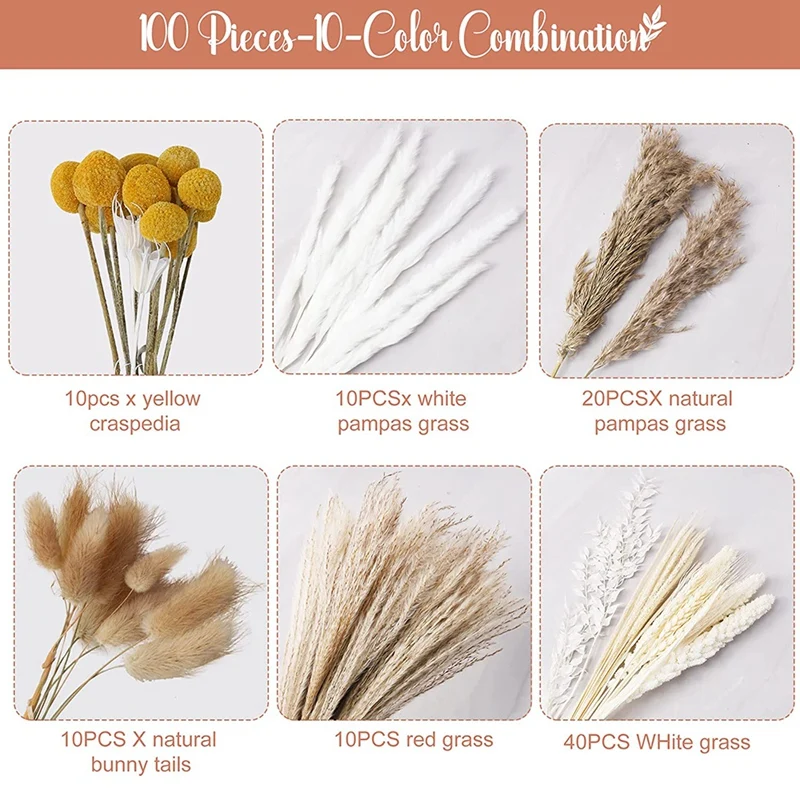 

100 шт. сушеные цветы 10 видов пампасная трава 17,32 дюйма пампасная трава декоративные вазы наполнители зайцехвост сушеные цветы
