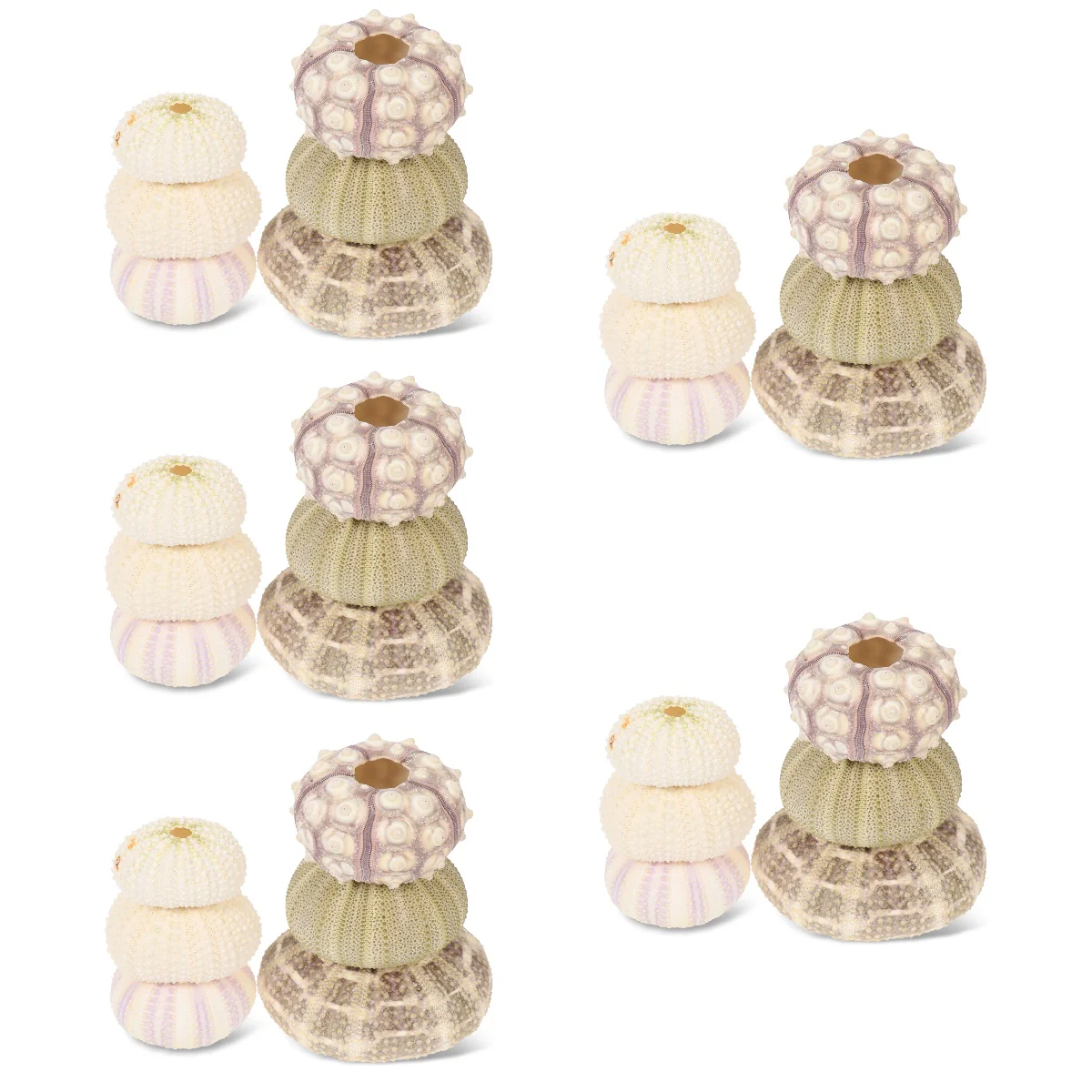 

30 Practical Urchin Exquisite Air Plants Live Holders Air Holder Air Holders Unique