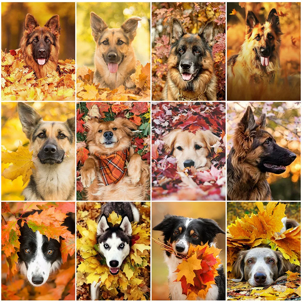 

Набор для алмазной вышивки «сделай сам» HUACAN 5D с изображением собаки