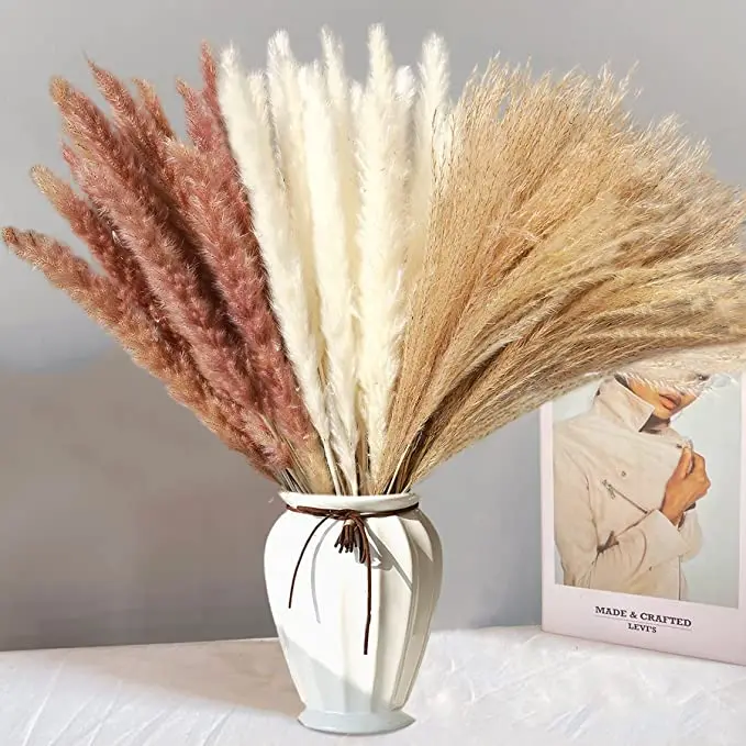 

45cm Dried Pampas Grass Decor Pampas Grass Fluffy Pompous Grass for Boho Home Decor Fluffy Dried Plants