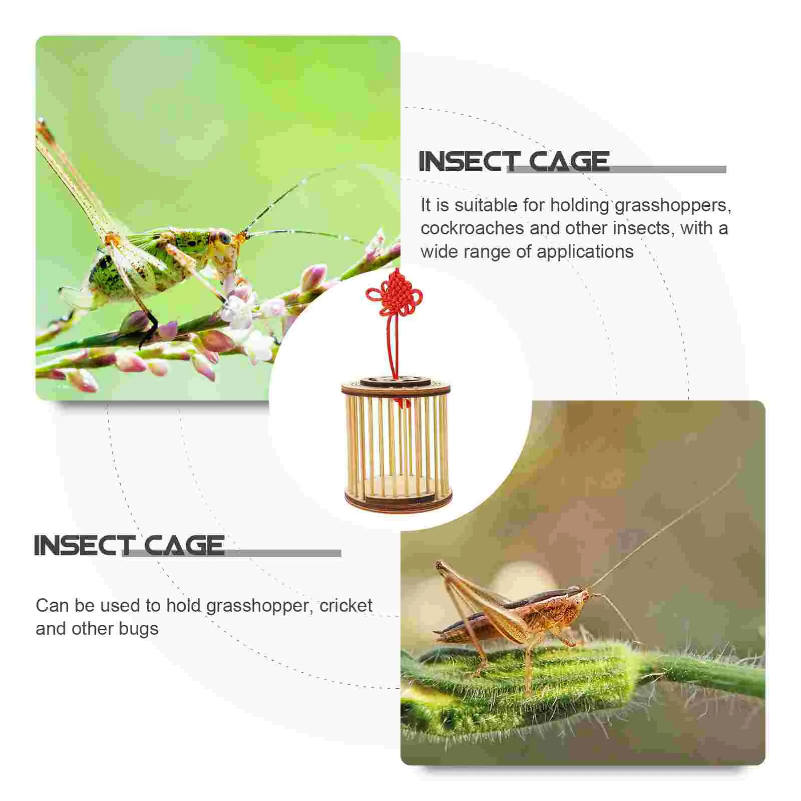 Транспортная клетка для переноски песен контейнер насекомых крикет из цельного