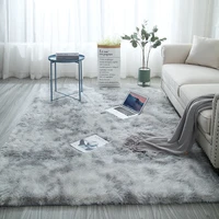 230160cm carpet for living room fluffy bed room rug home decor window bedside carpets thick rugs soft velvet high quality mat