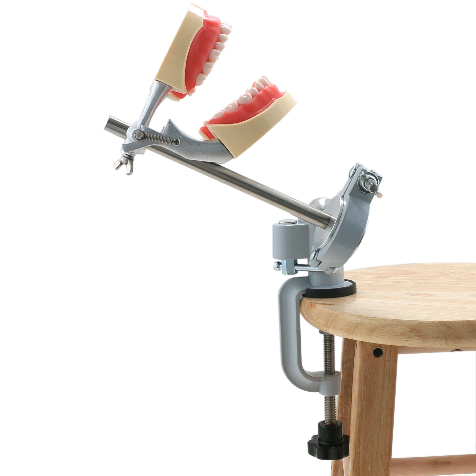 Стоматологический монтажный столб Typodont для Columbia Kilgore Nissin Frasaco модель зубов