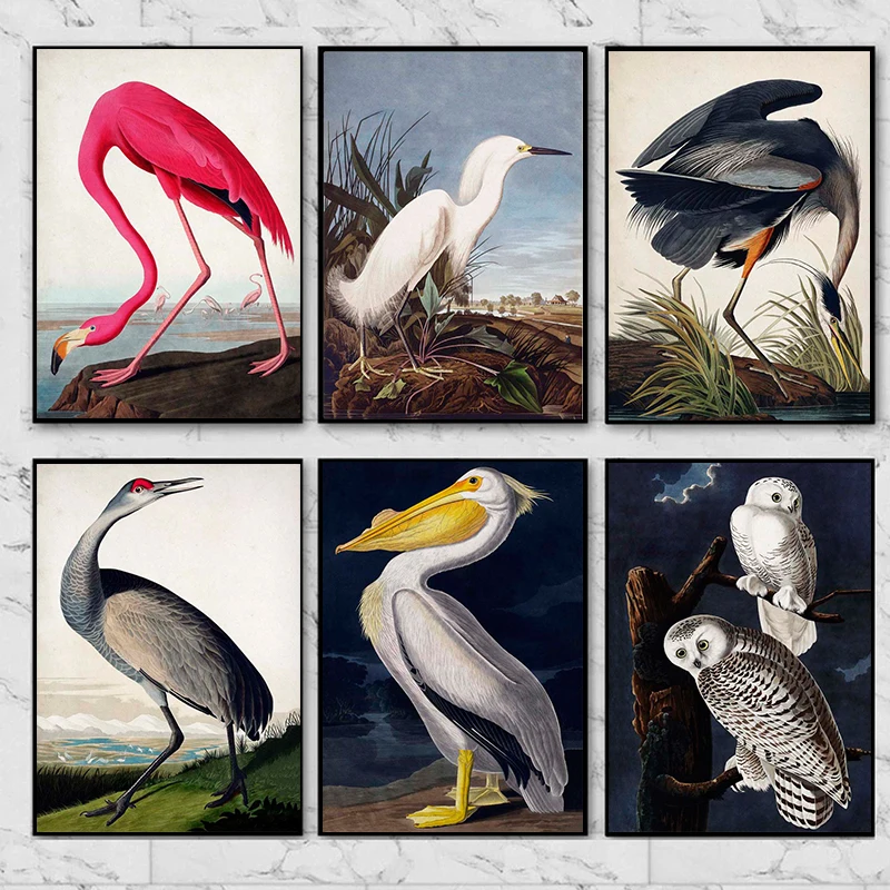 Винтажная картина с птицами, искусственная кожа, Розовый Фламинго, Снежная сова, Pelican, голубой, Heron, белая Картина на холсте для гостиной
