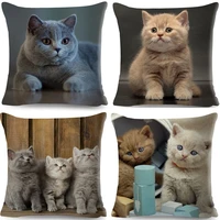 cute pet animal cushion cover 3d fold ear cat pillow covers 4545cm orange cat blue cat linen pillow case car sofa home decor