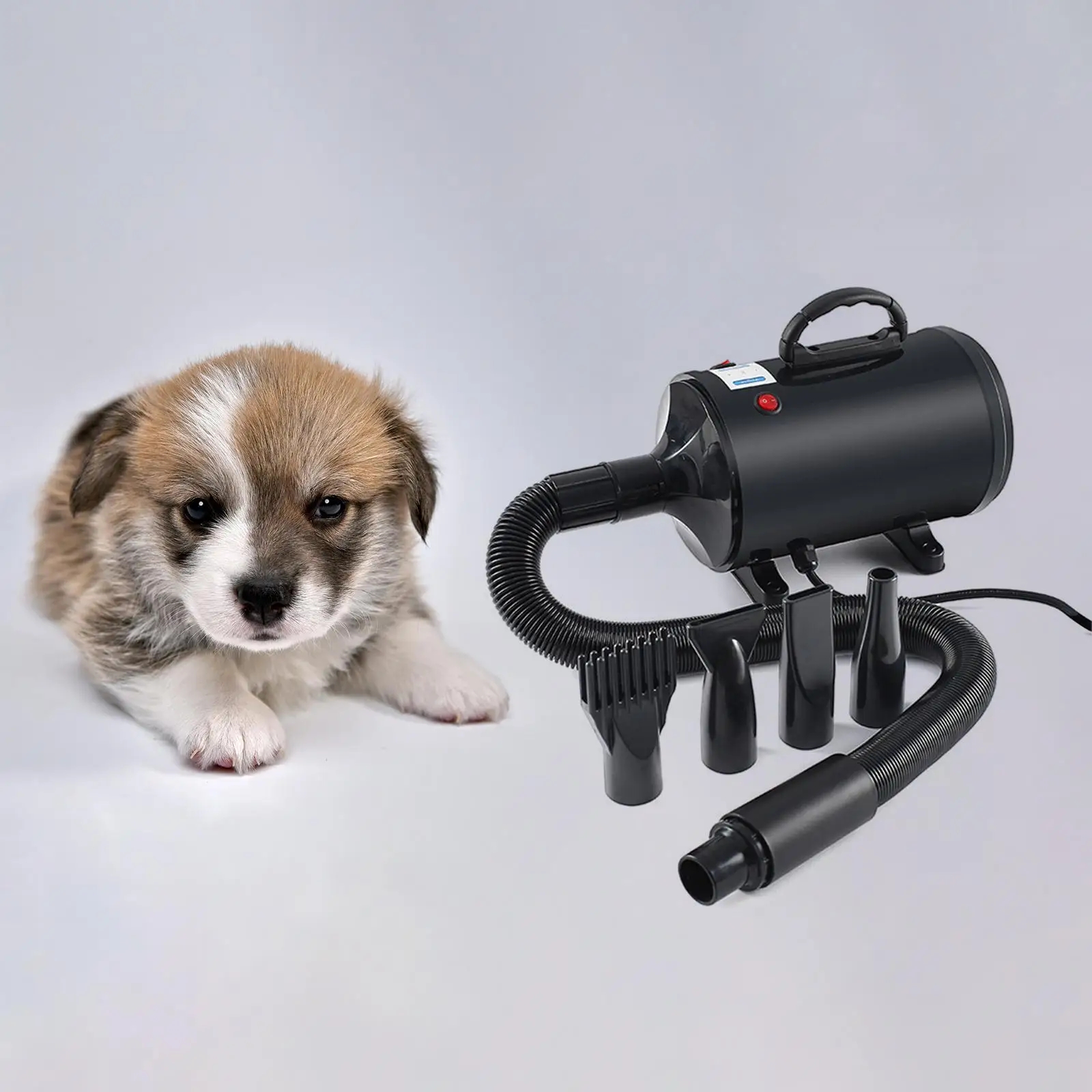 

Portable Dog Blow Dryer Pet Cat Blower Grooming Hair Dryer Low Noise 4 Nozzles 2200W Hairdryer Machine for Deshedding Bathing