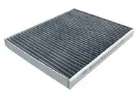 

Store code: SCA823 for pollen filter FIESTA VI 08 / B MAX 13 / TRANSIT COURIER 14 / ECOSPORT 12 KA + III 18 (carbon)