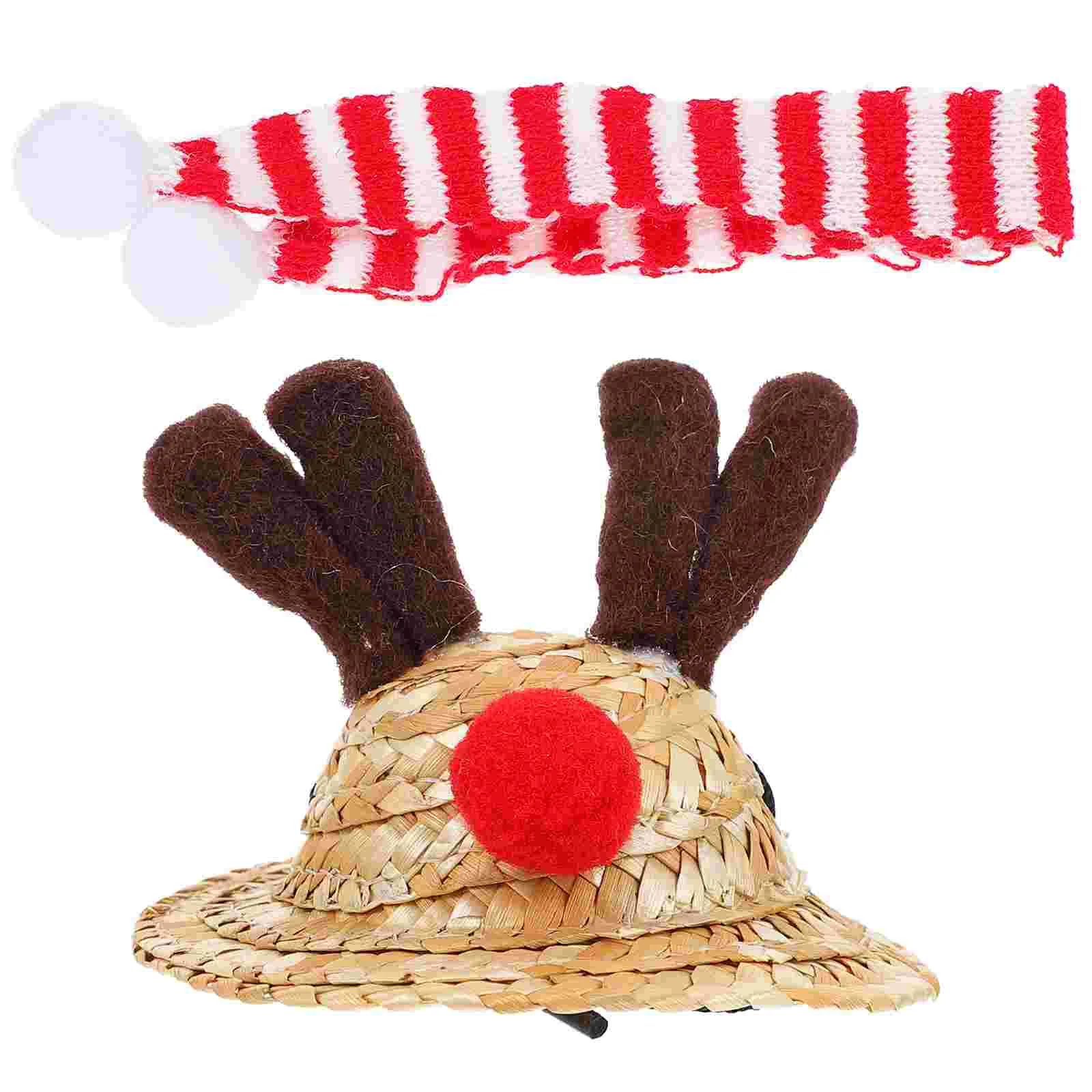 

Hat Lizard Scarf Christmas Costume Reptile Bearded Pet Dragon Santa Partyclothes Halloween Outfit Sombrero