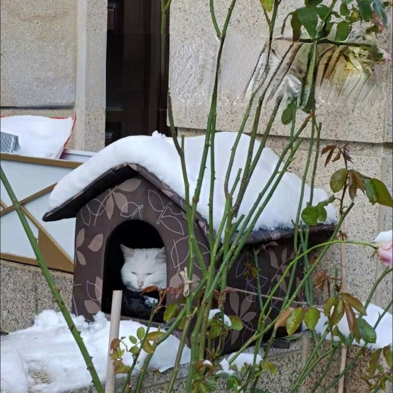 Спасательная палатка Stray Cat Dog водонепроницаемая и теплая уличная будка для кошек