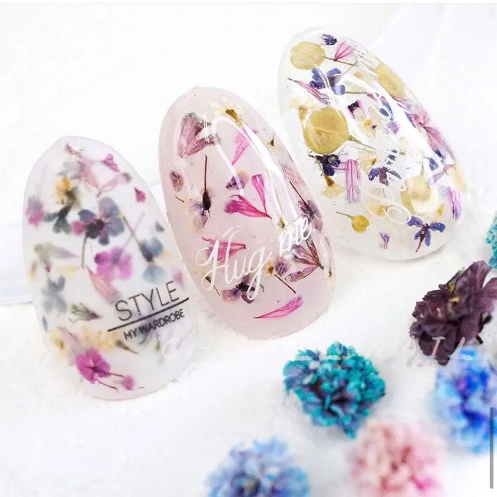 

DIY Pressed Dried Flowers Manicure Accessories Broken Petals Nail Decals Nail Art Decor Manicure Decoration Nail Art Stickers