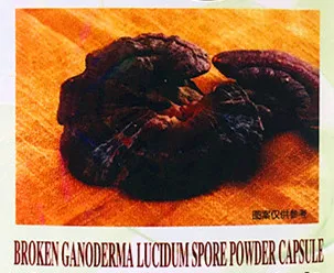 

Broken Ganoderma lucidum spore powder 60pcs enhances immunity Anti-tumor Adjusting immunity Improve cardiovascular disease