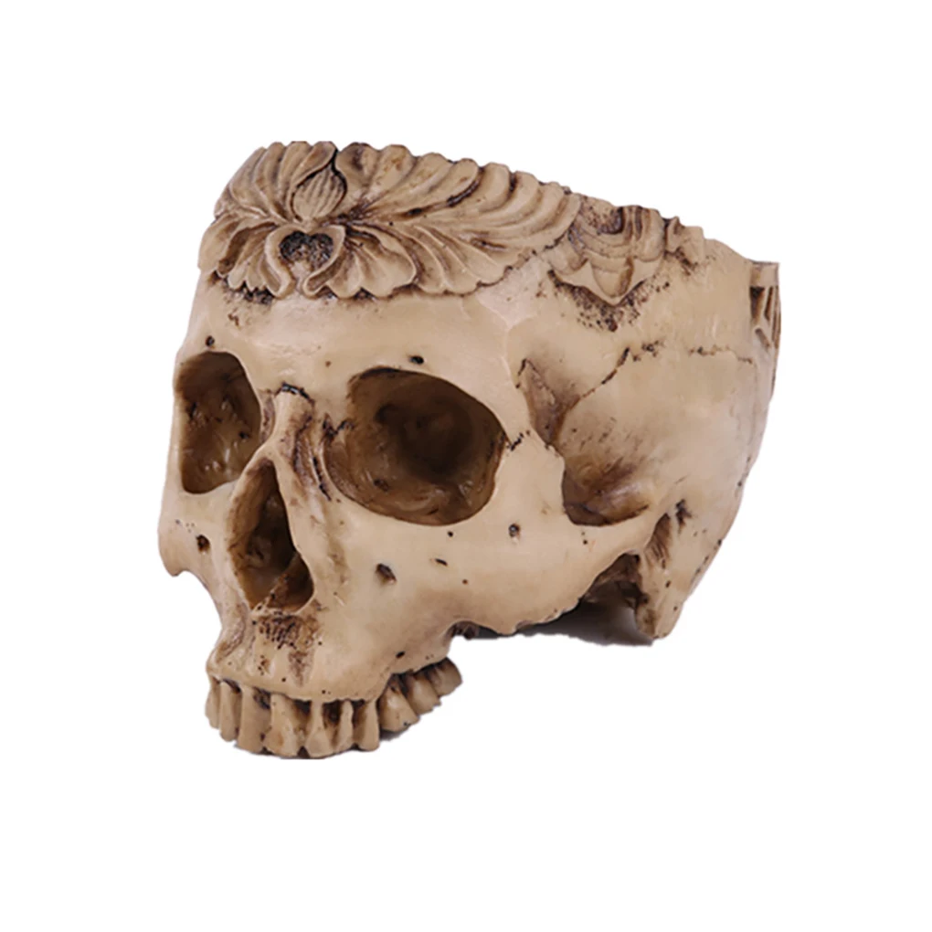 

Resin Skull Decor Flower Pot Widely Used Halloween Decoration Unique Gift for Handicraft Art Teaching Reference in Box Package