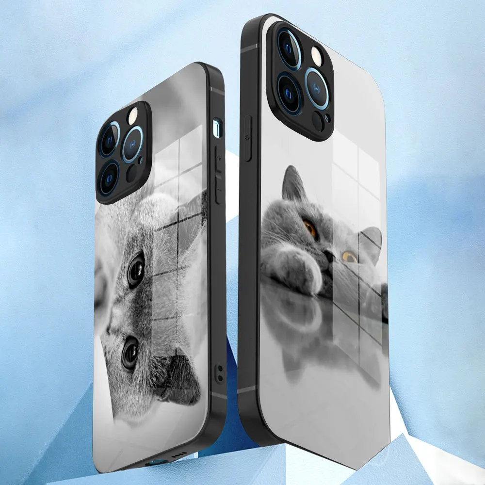 Стеклянный чехол Lunares для iPhone 13 11 12 Mini Pro Max XS XR X 7 8 6 Plus SE силиконовый британский