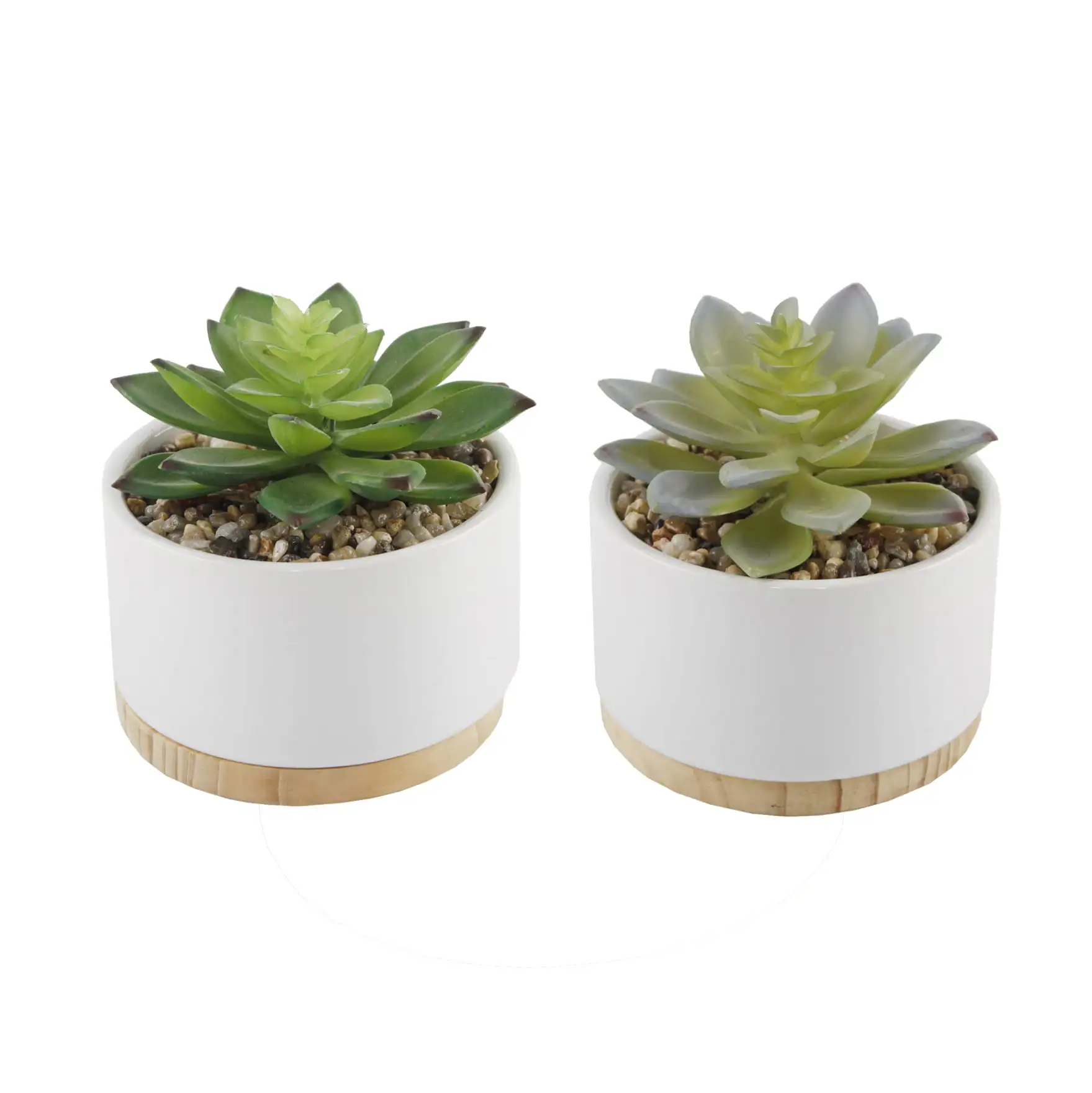 

6" Artificial Succulents in White Ceramic Pot with Wood Base, Set of 2
