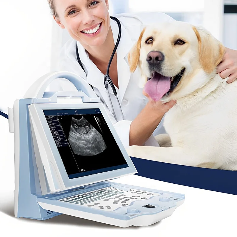 

Cheap 12 Inch Vet Ultrasound Scanner Equipment Veterinary Dog Pig Full Digital b/w Portable Laptop Ultrasound for Animals