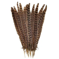 20pcslot natural female pheasant tail feather for crafts wedding centerpiece decorations diy plume carnival accessories 20 25cm