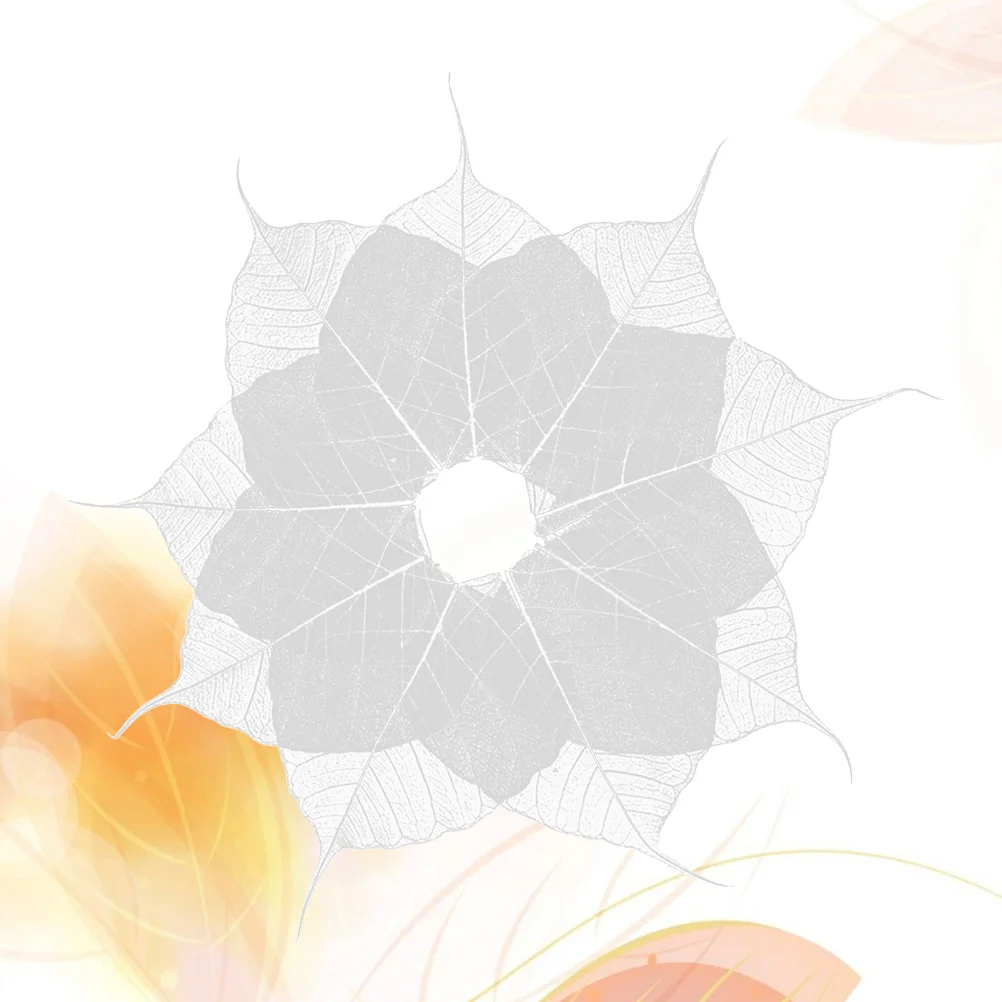 

Leaves Leaf Craft Skeletonvein Driedtree Bookmark Projectdiyscrapbooking Embellishments Specimen Decorative White Dry Natural