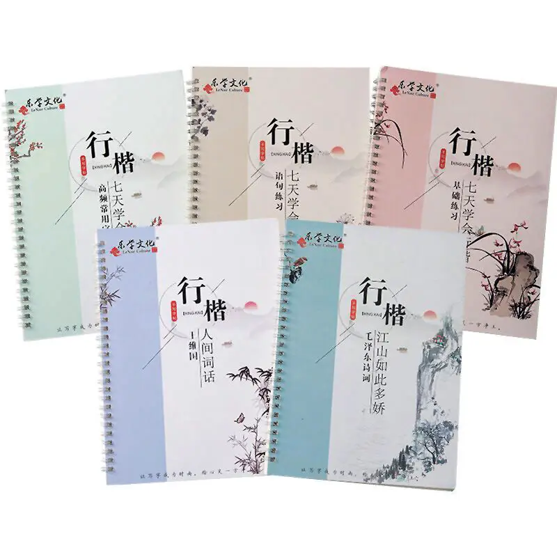 

5PcsSet 3D Chinese Characters Reusable Groove Calligraphy Copybook Erasable Pen Learning Chinese Characters Student Writing Book