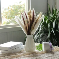 natural real plant dried reed pampas grass flower family wedding party bohemian room decoration bouquet
