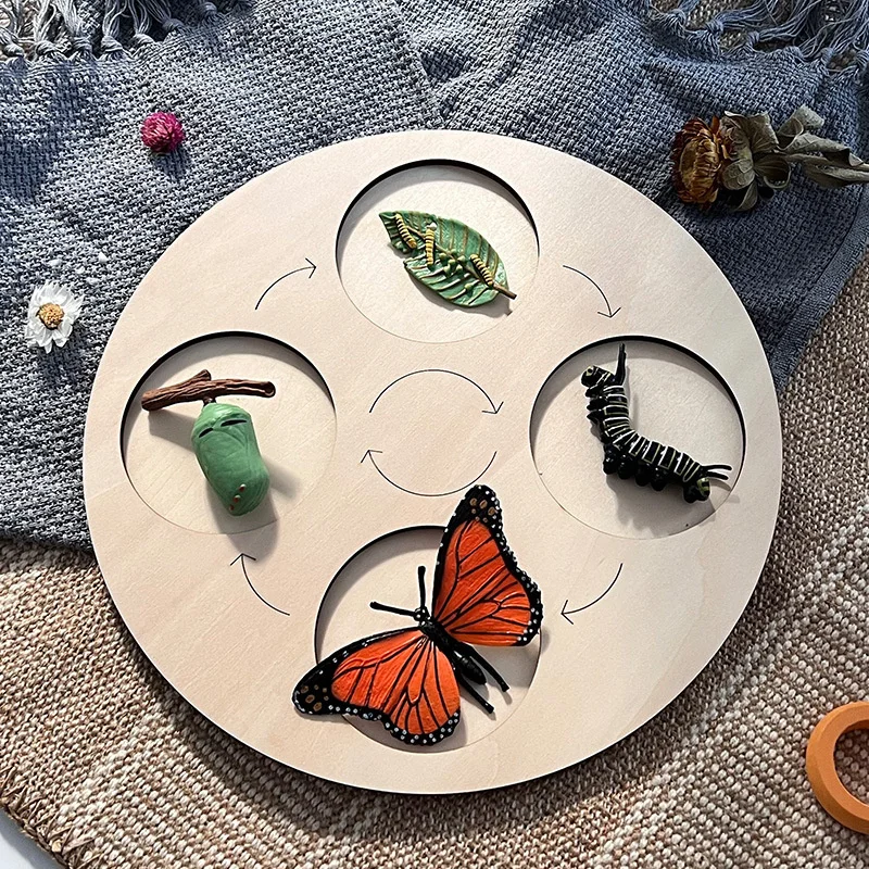 

Деревянная биология, Имитация животных, цикл роста, Бабочка, божья коровка, фигурка жизненного цикла, пластиковые модели, экшн, обучающая детская игрушка