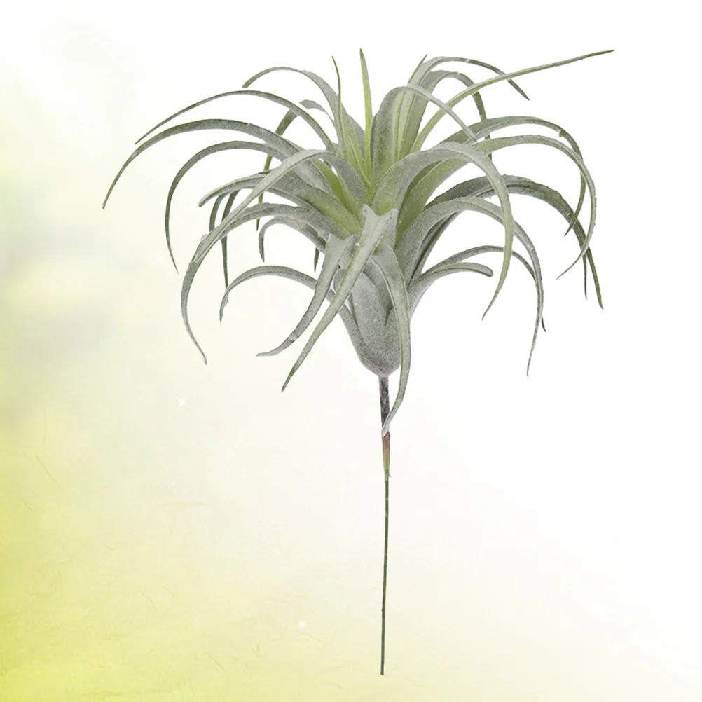 

Artificial Succulents Plants Unpotted Flocking Tillandsia Air Plants Bromeliads Bouquet Arrangements Artificial Bromeliad Home