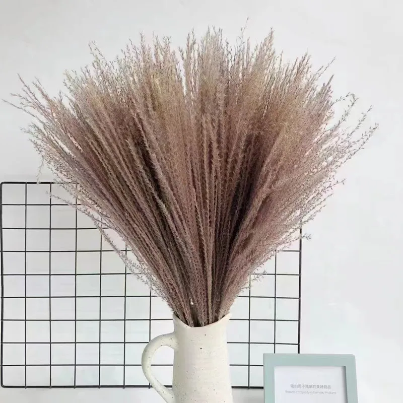 

Pampa Wedding Decoration Fleurs Sechees Accessories Wall Girlanda Eucalyptus Garland Pampas Grass Home Decor Pampa Herbe DeL