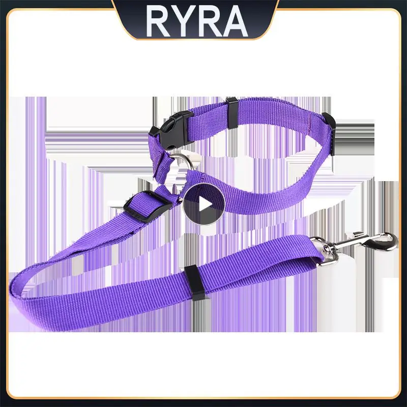 

Pet Car Seat Belt Dog Seat Belt Dog Leash Traction Belts Cushioning Elastic Safety Rope Outdoor Traction Rope Dog Products New
