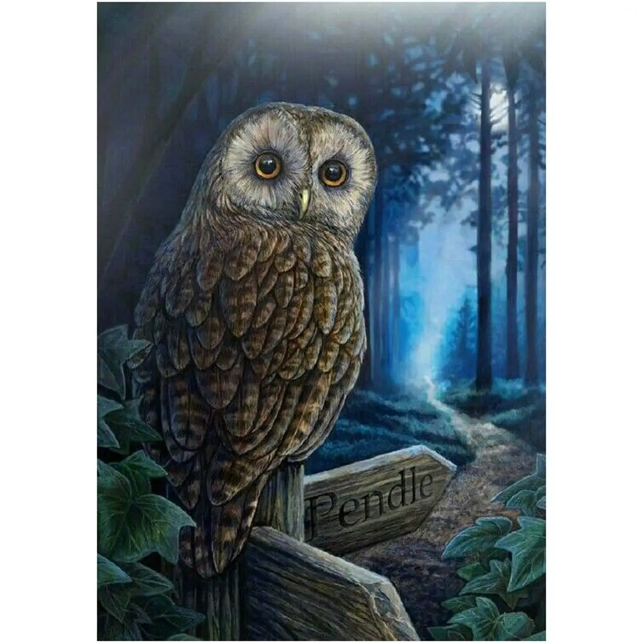 

5D Diamond Painting Forest Owl Full Drill by Number Kits for Adults, DIY Diamond Set Arts Craft Decoration by a1003