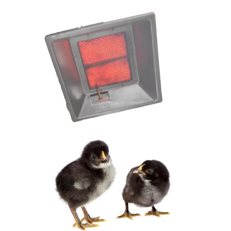 

LPG and natural gas infrared chicken coop heater used in winter