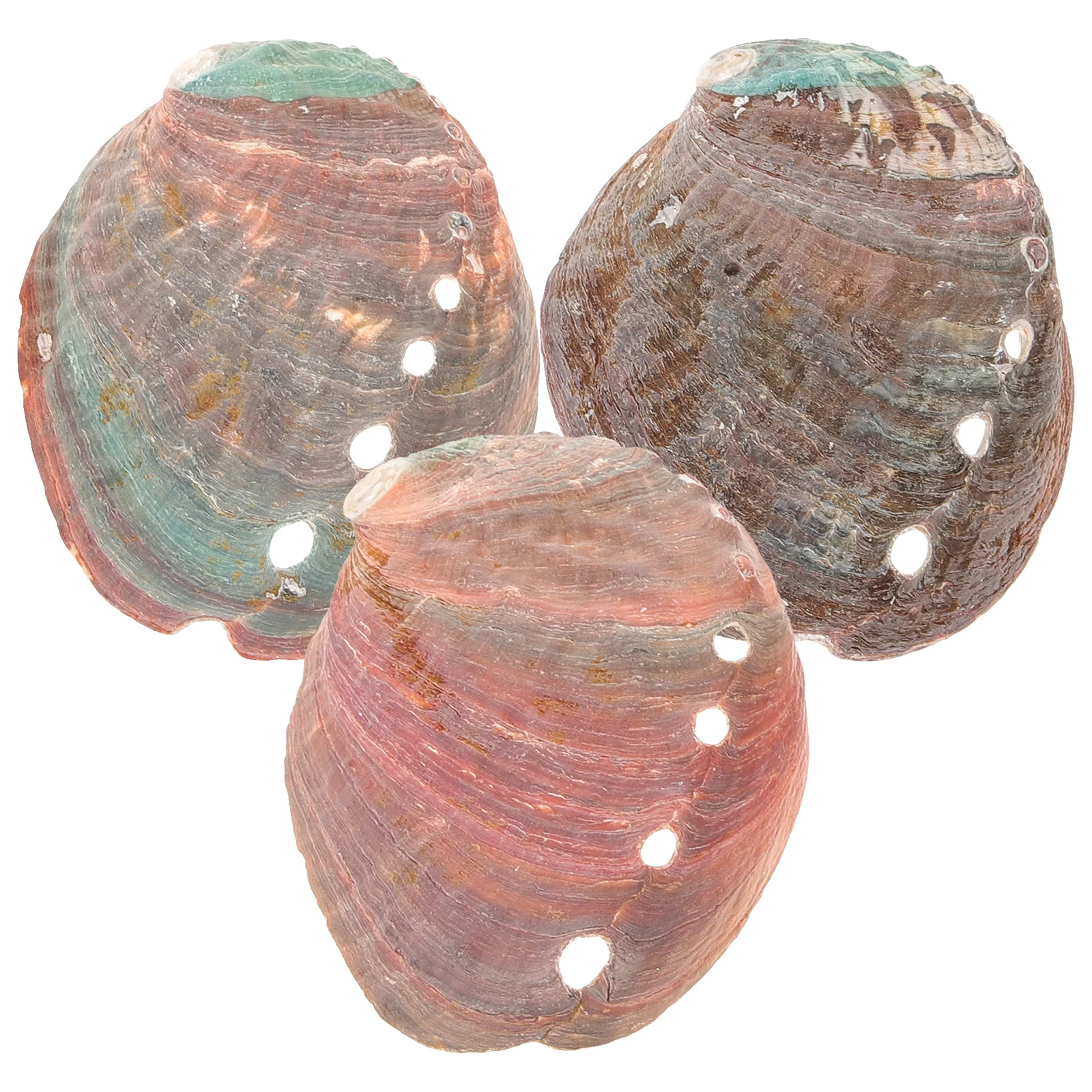 

3 Pcs Fish Aquarium Kit Smudge Stick Holder Abalone Shell Smudging Suite Natural Decor Offering Bowl