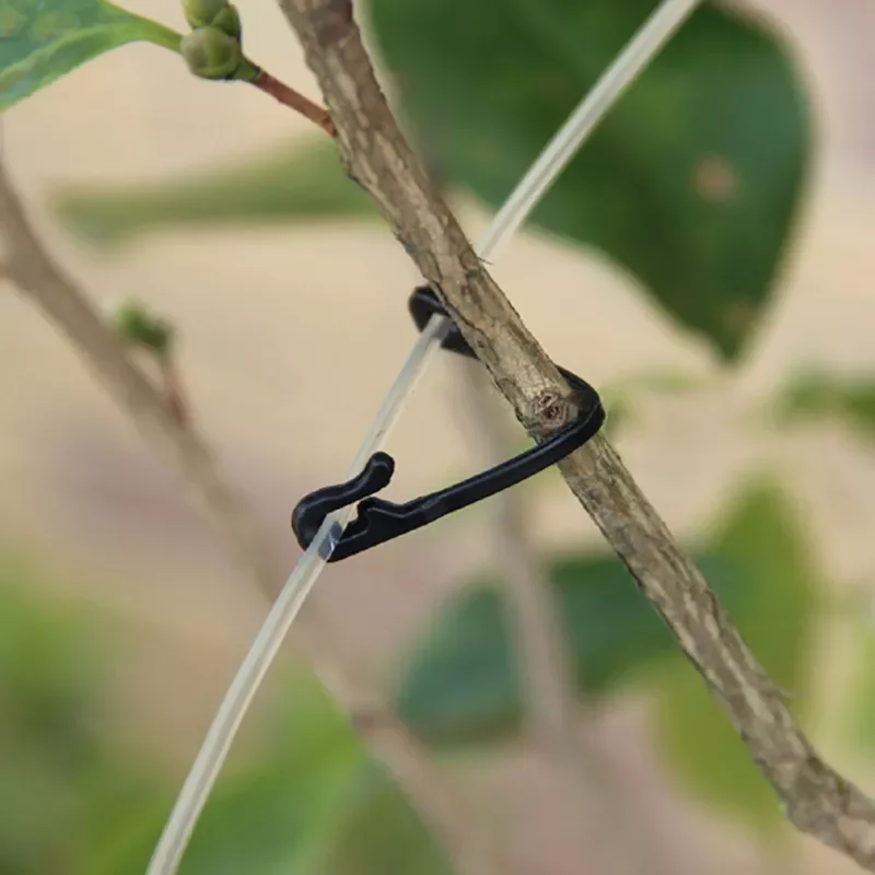 

Plastic Plant Clips Supports Connects Reusable Protection Grafting Fixing Tool Gardening Supplies Fixed Buckle Hook
